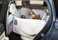 ボルボXC40／新型V60 愛犬家にお勧めしたいペットアイテム インターペット | AUTOCAR JAPAN