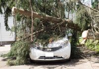 台風クルマ損害 自動車保険を使うと等級は下がる 地震 津波 噴火 車両保険を使えず Autocar Japan